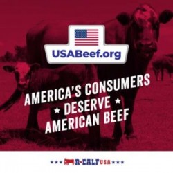 USA Beef