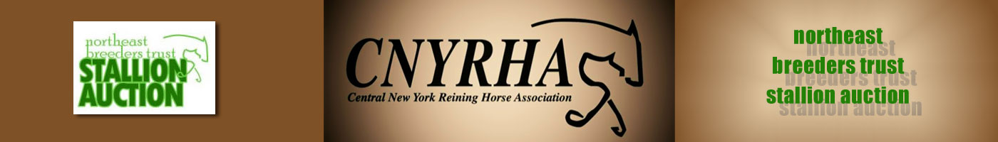 Central New York Reining Horse Association
