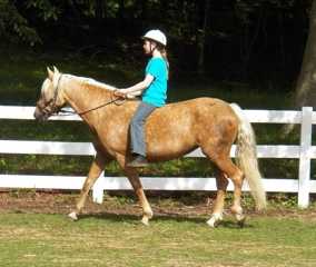 Whippoorwill Camilla