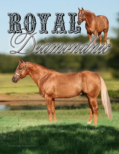 Royal Diamondnic- NRHA $ Earning son of REMINIC 