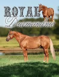 Royal Diamondnic