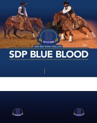 SDP Blue Blood