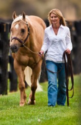 Outback Stallion Station