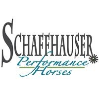 1 Package of 4 Reining Lessons with Sam Schaffhauser.  