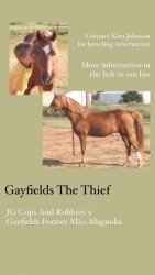 Gayfields The Thief