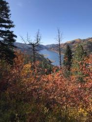 Half DayTrail Ride in San Juan Mountains