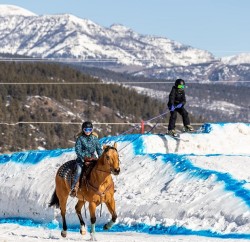 4 Riding Lessons by Alexis Spencer 