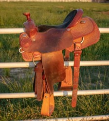 15&quot; Infinity Roper Saddle