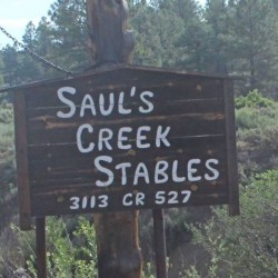 1 Month Boarding Sauls Creek Stables