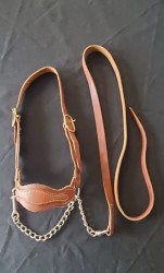 Show Halter with Stud Chain