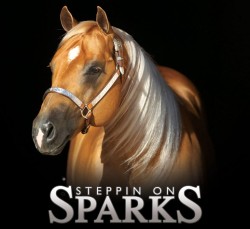 Steppin On Sparks