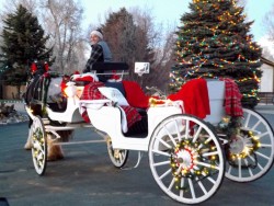 2 Hour Carriage Ride