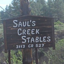 2 Nights RV with 2 Horses - Sauls Creek Stables