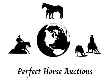 Horse &amp; Stallion Auctions Online