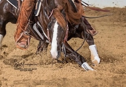 New Premier Sale Services