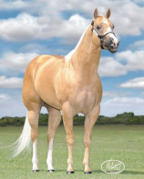 Grand Slam Touchdown