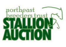 2026 NEBT Stallion Auction