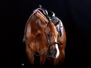 Pretty Cowgirls Only