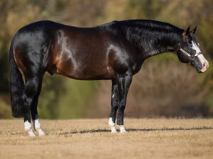 Spooks Gotta Outfire