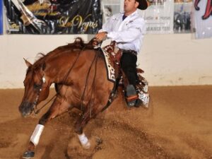 SG Frozen Enterprize