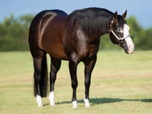 Spooks Gotta Outfire