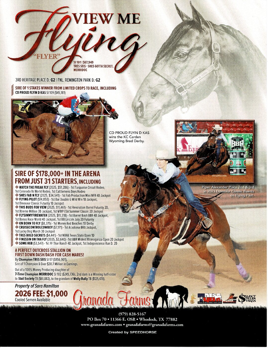 View Me Flying - Image 2