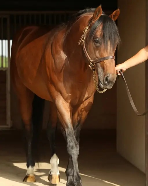 View Me Flying - Image 4