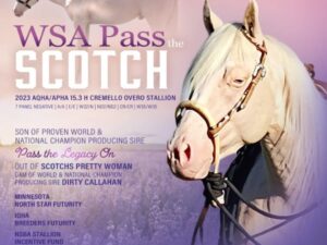 WSA PASS THE SCOTCH