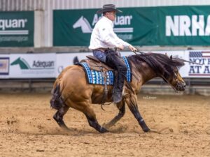 Sparkys Shining Doll